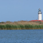 delta del po'