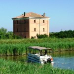 valli di comacchio 