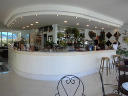 Reception and Bar